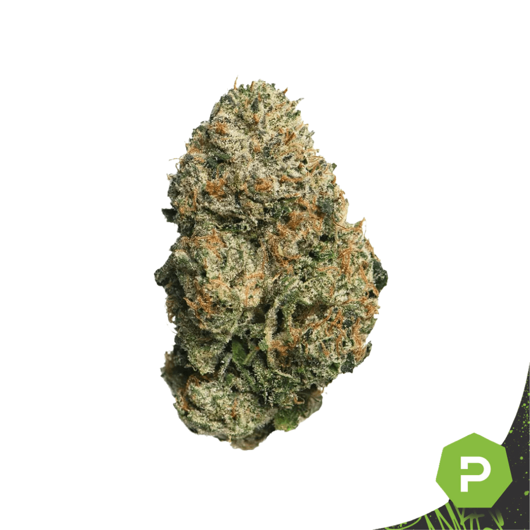 PharmaCann PharmaCann | Head Hunter