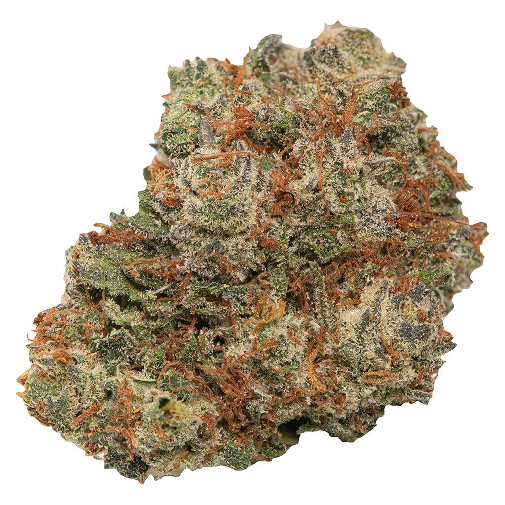 Tobagrown Toba's Sativa (Blue Chronic)
