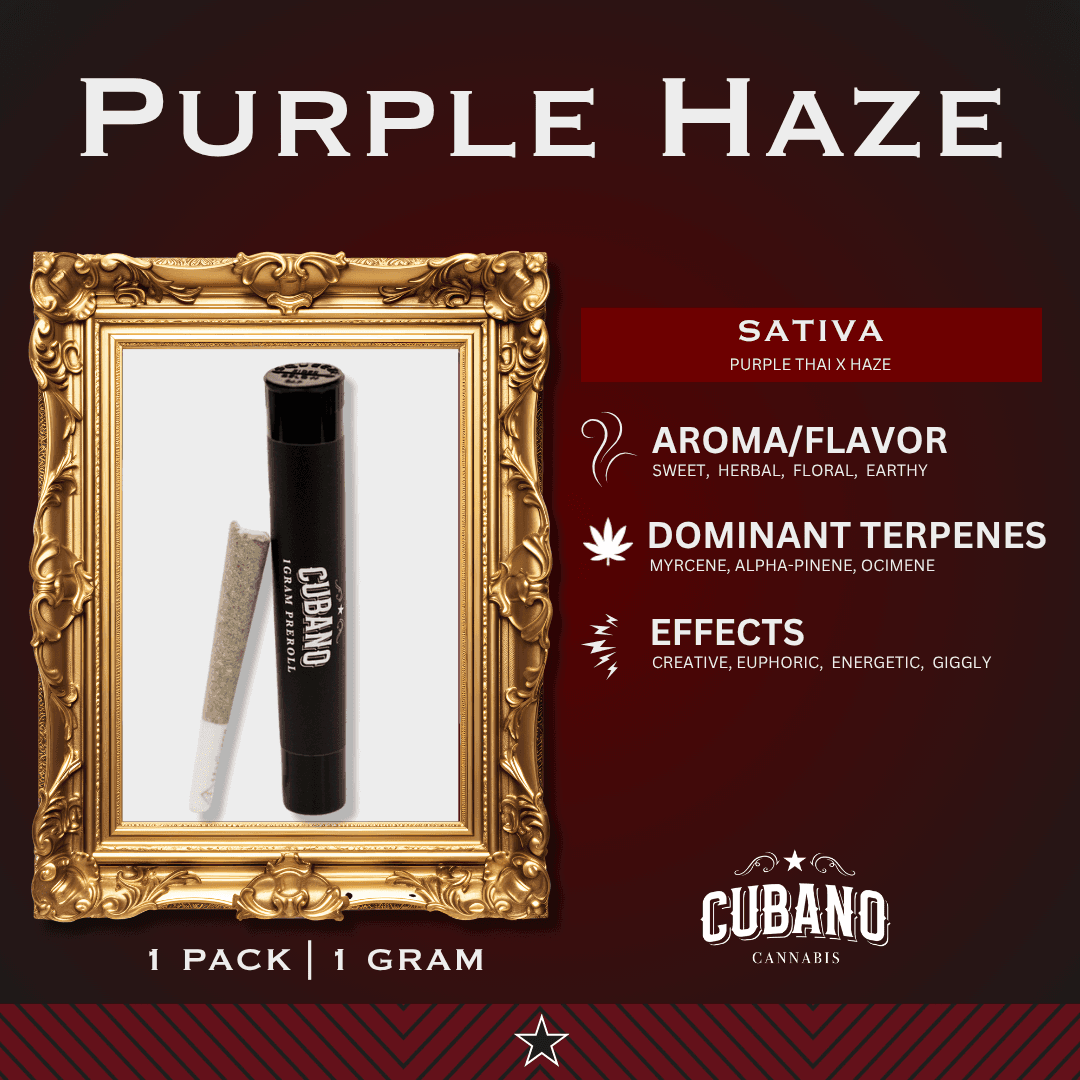 Cubano Extracts Purple Haze | PreRoll