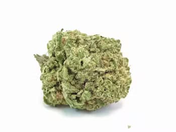 THC Design THC Design | XJ-13 (H)