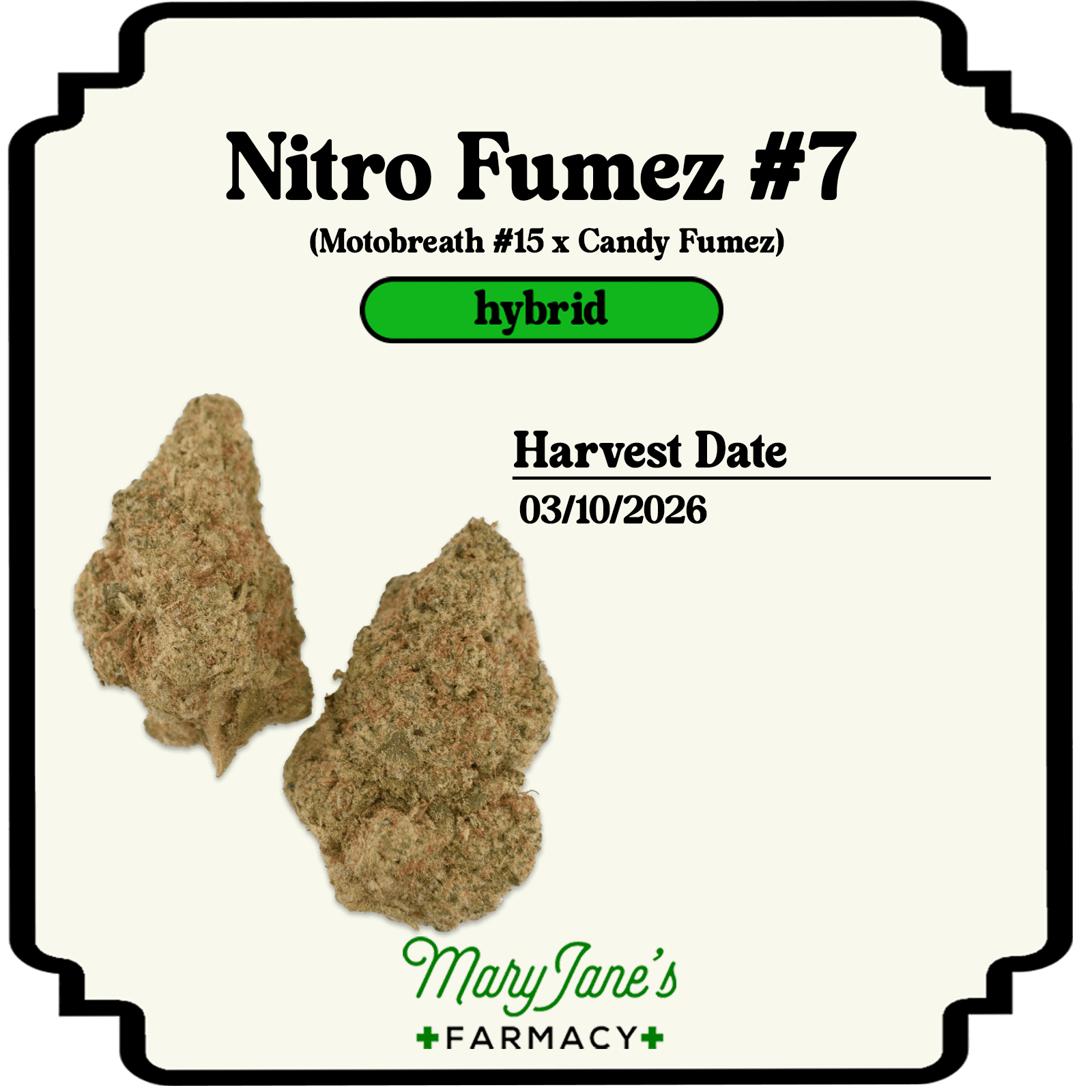 Wicked Kind Nitro Fumez #7