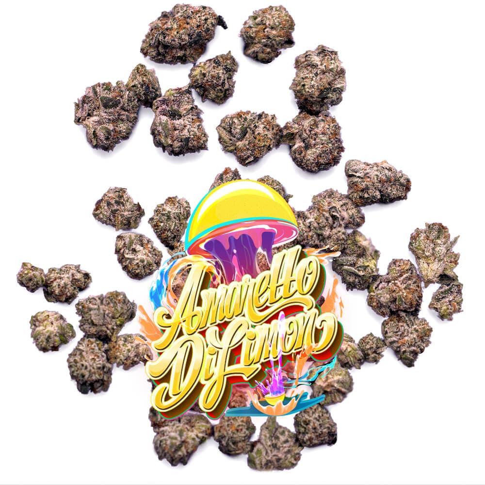 Jungle Boys Amaretto Di Limon - Pops