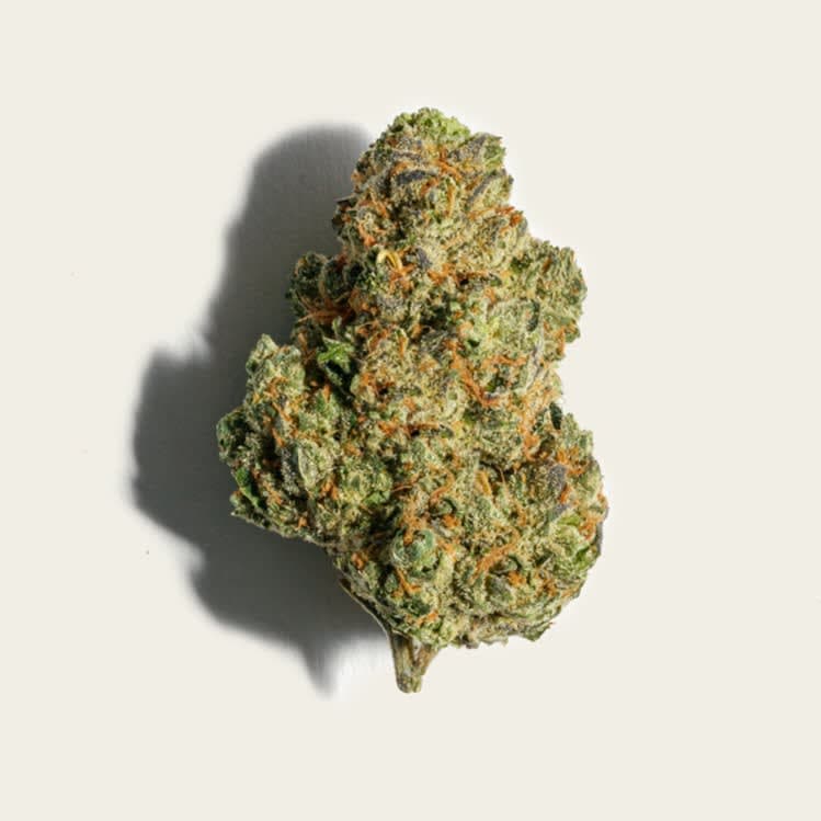 Pure Sunfarms Day Tripper - 28g