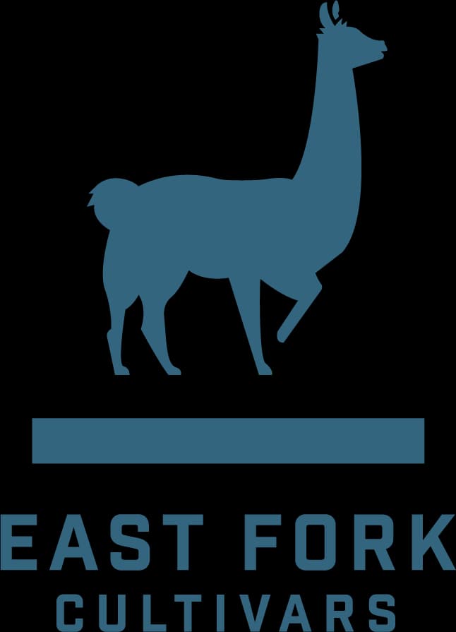 East Fork East Fork - Tangerang (CREATE) - Preroll 7pk