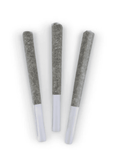BCLDB Bc Doobies - Chocolope Pre-Rolls (3x0.5g)