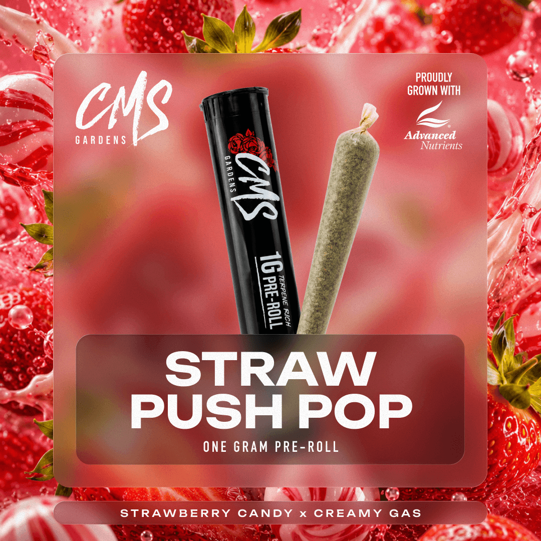 CMS Gardens Strawberry Push-Pop | 1g
