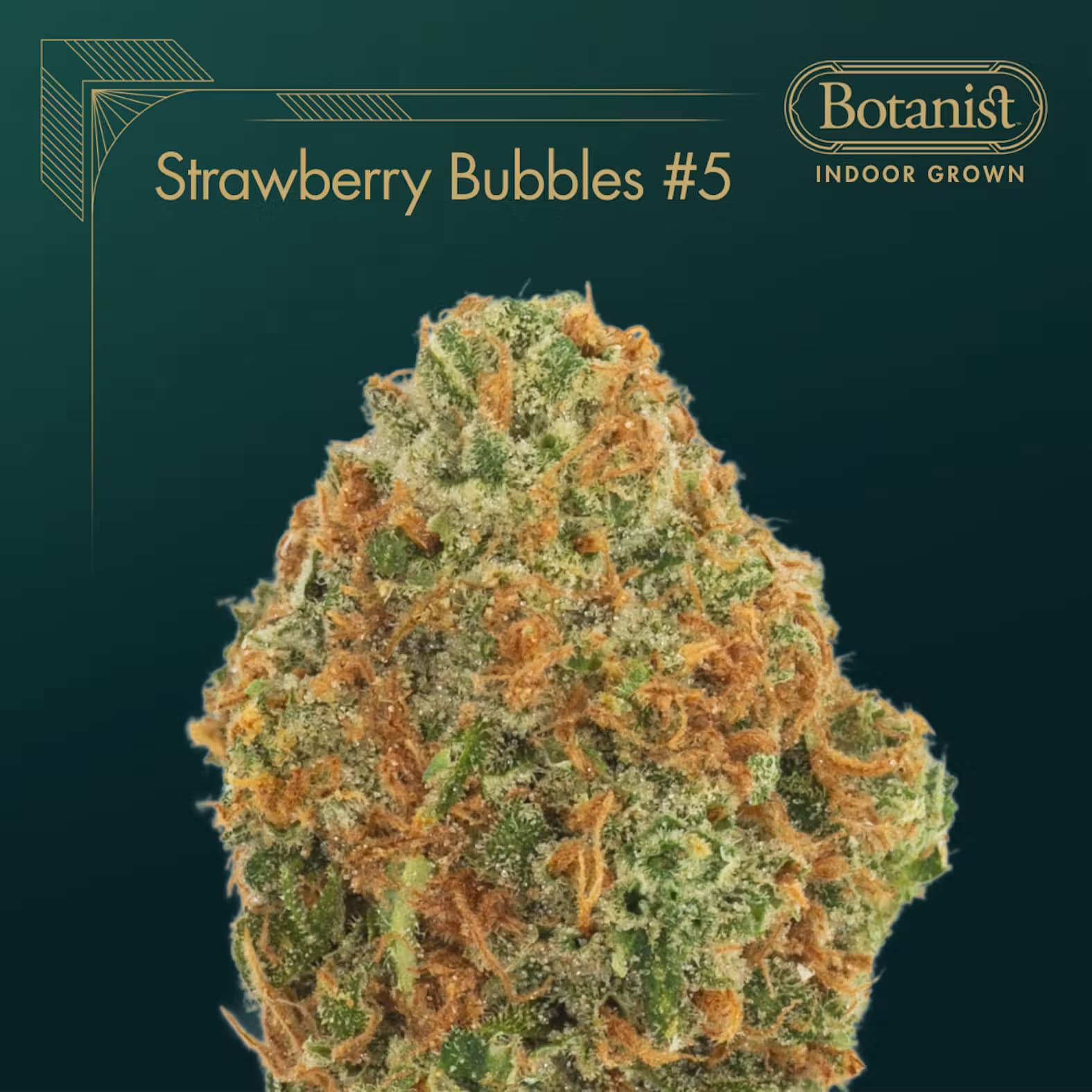 Botanist Strawberry Bubbles