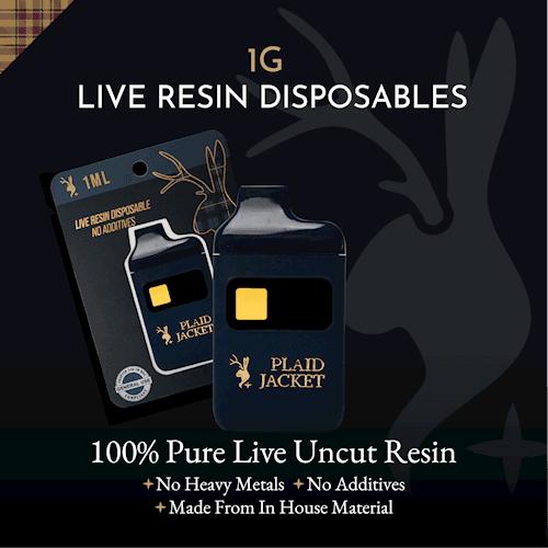 Plaid Jacket Concentrates