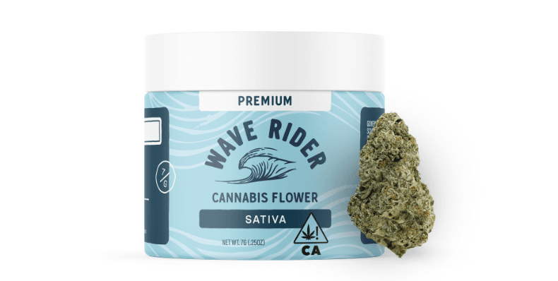 Wave Rider GRAPEFRUIT