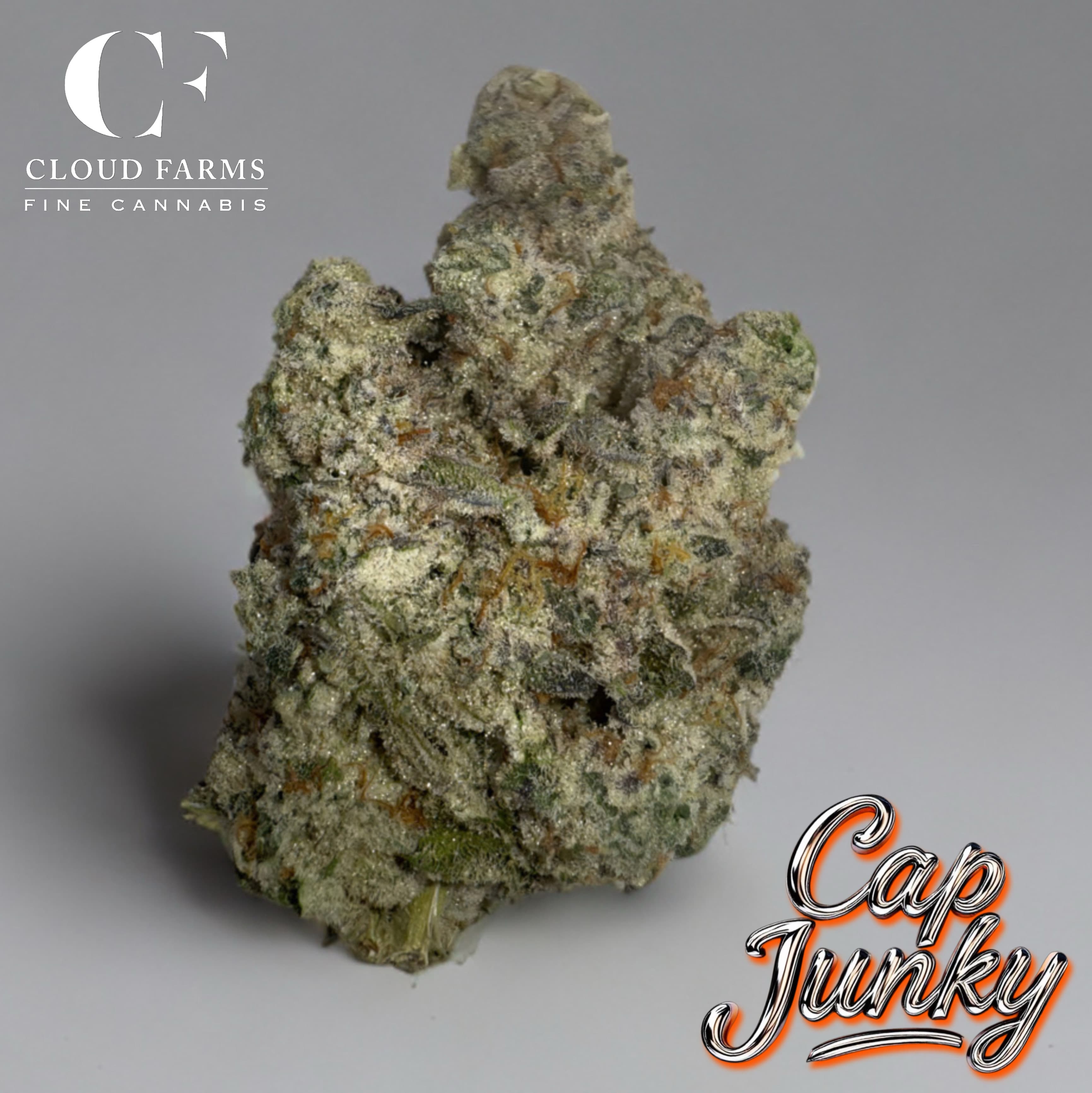 Cloud Farms Cloud Farms | Cap Junky