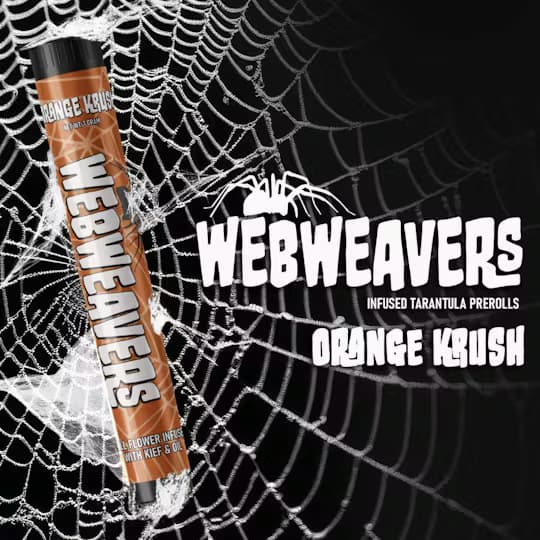 Webweavers Webweavers - Lemon Mellow Mini Tarantula's 5pk