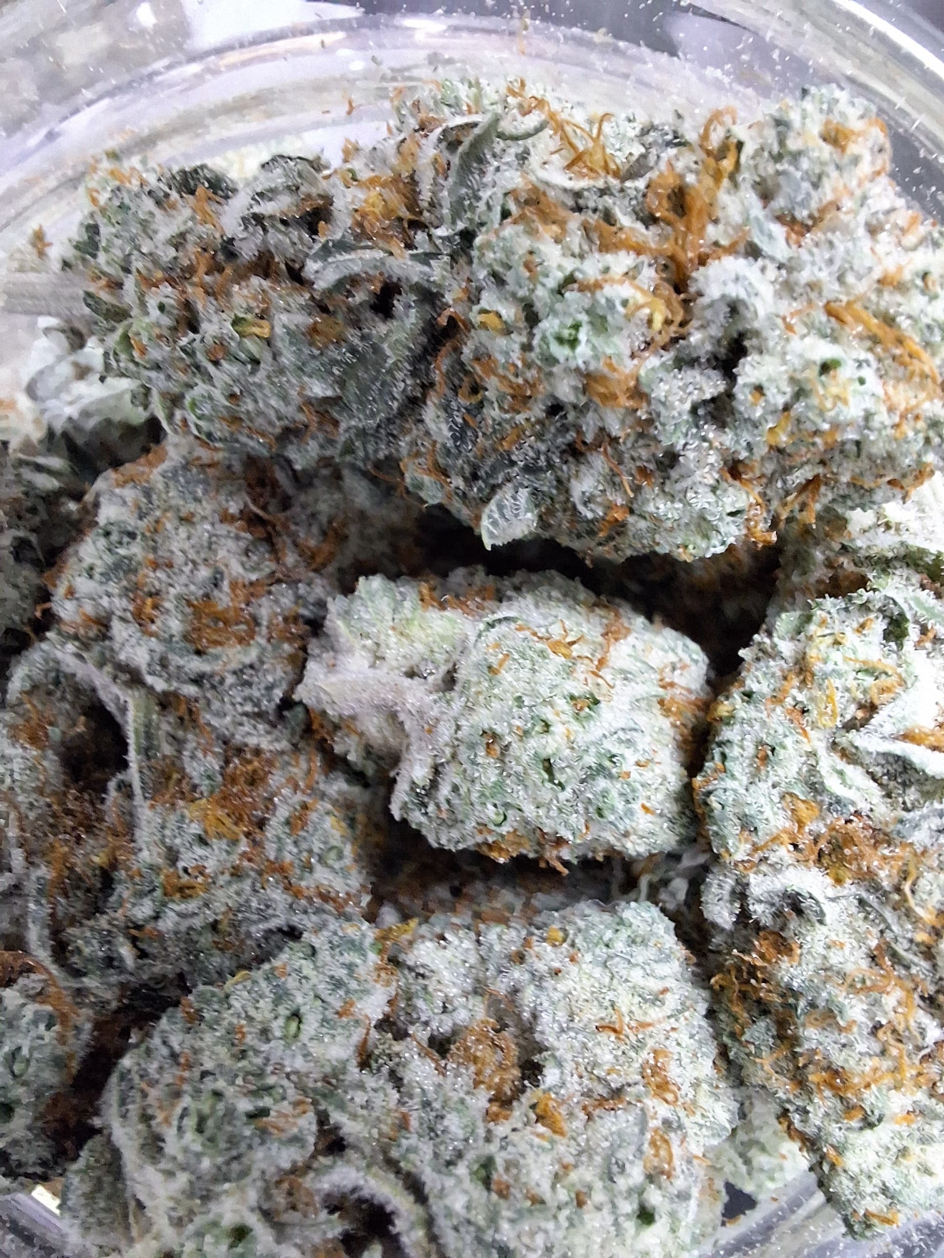 High Brix Cannabis Chem Berry | High Brix Cannabis