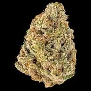All Day Private Reserve OG | 7g Flower