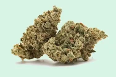 All Day Strawberry Dream | 7g Flower