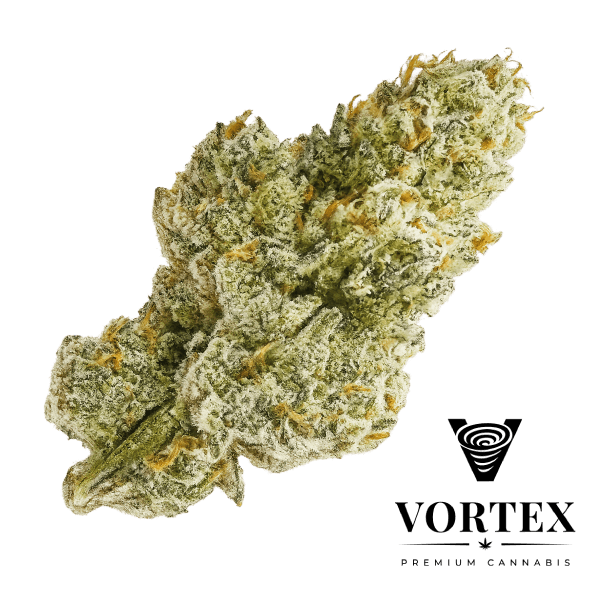 VORTEX Glitterbomb Premium Smalls