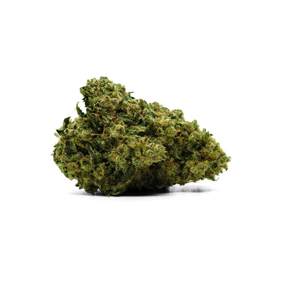 Trulieve MWhip Flower