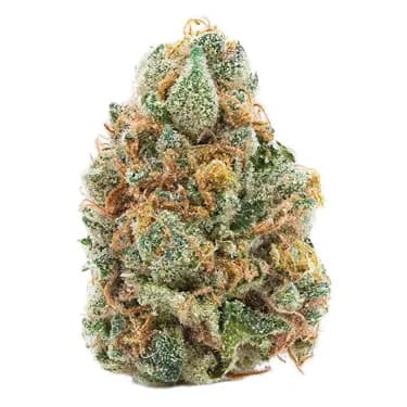 Spinach GMO Cookies - Spinach - Dried Flower