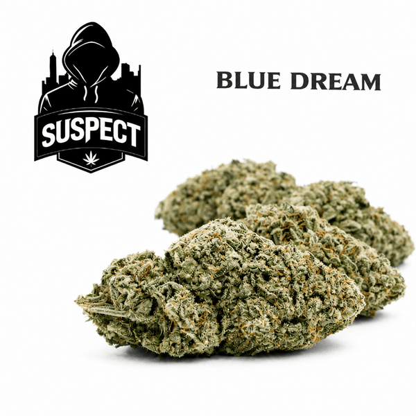 Suspect Blue Dream | Sativa-Hybrid | 14g