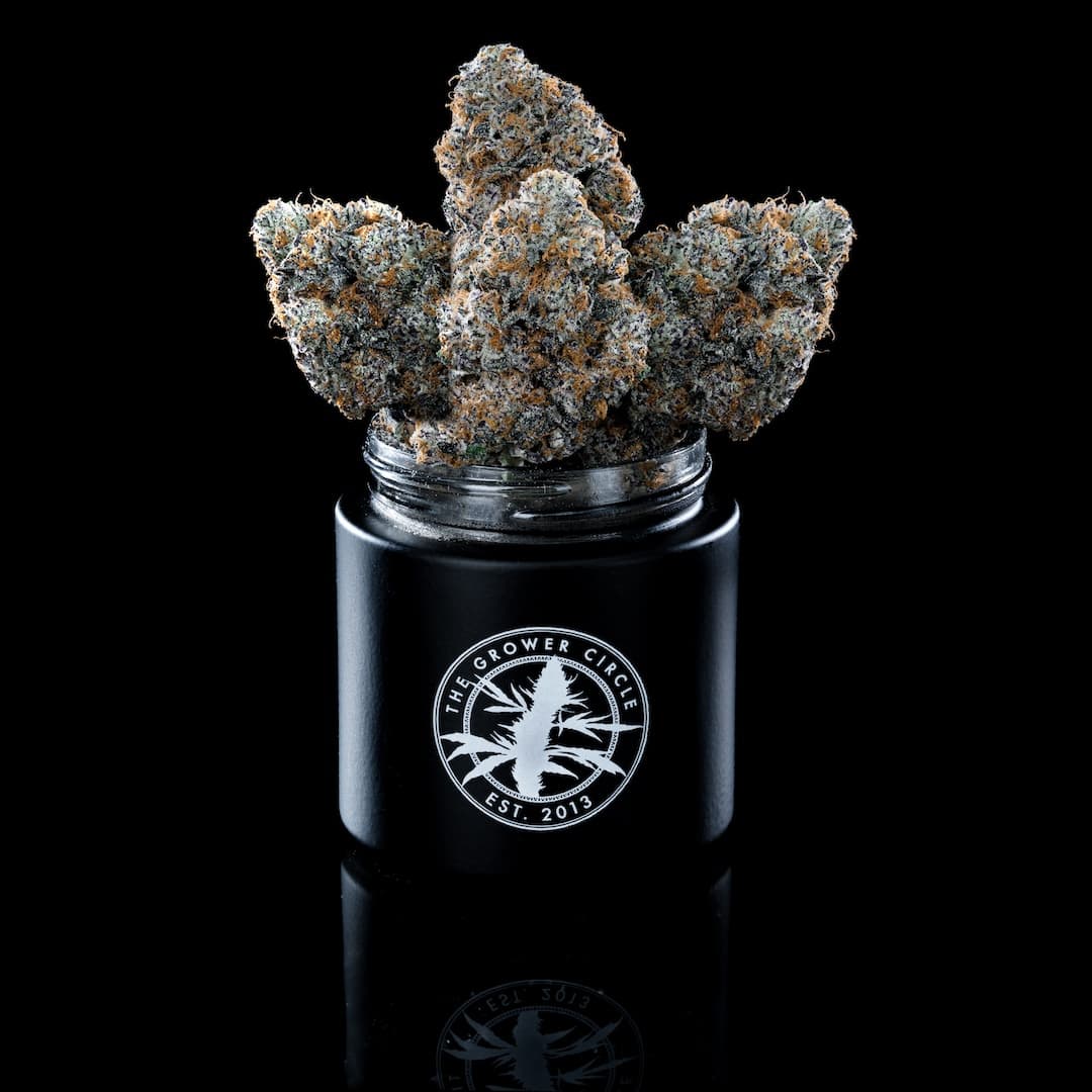 The Grower Circle The Grower Circle Rotten Lemons 3.5g
