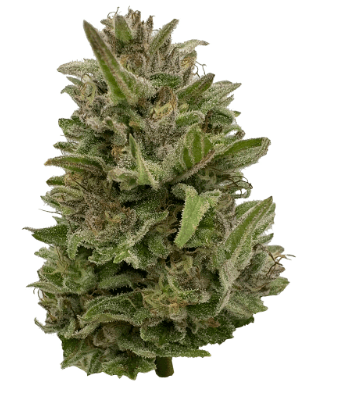 Deelish Deelish Pretty Chill Indica 28g