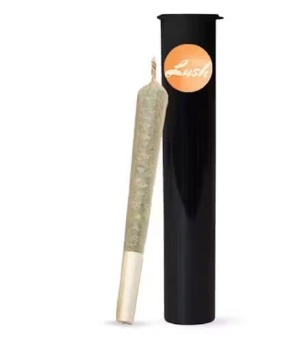 Lush Lush - Preroll - Grape Ape (I)