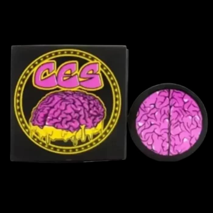 CES