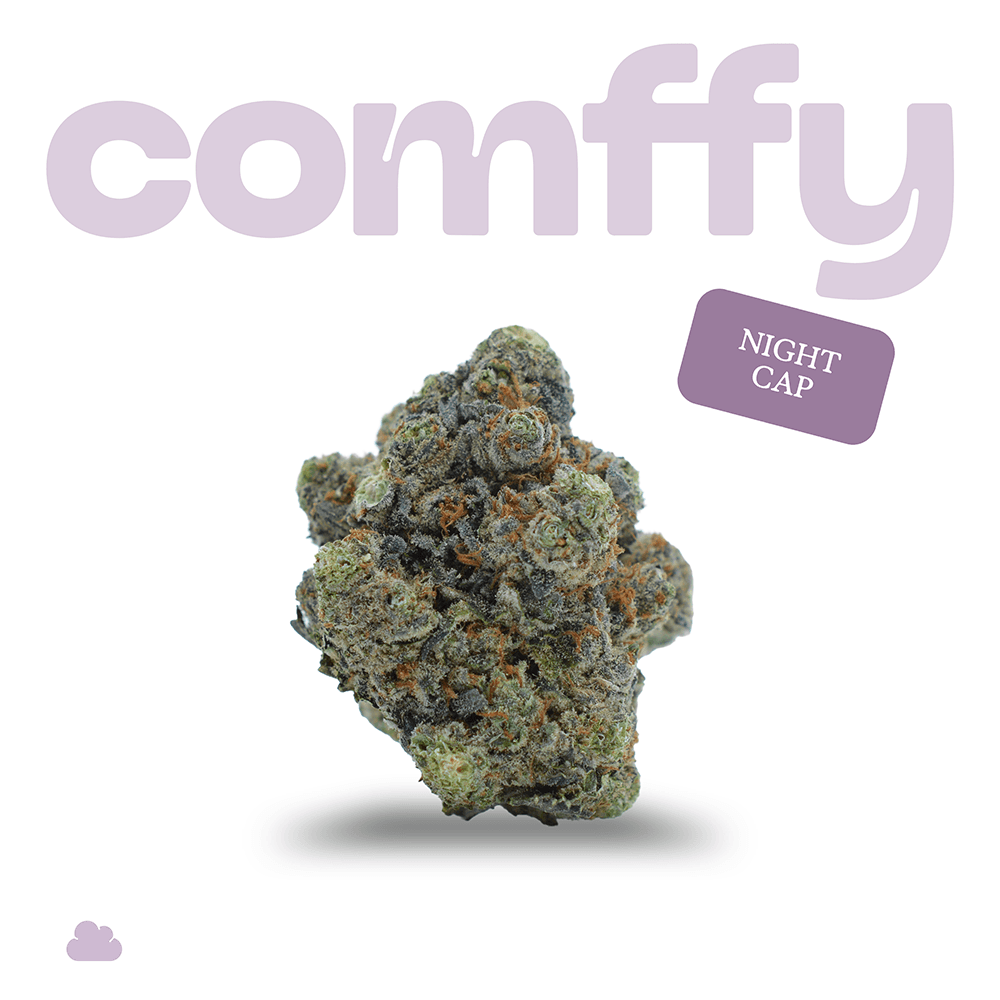 Comffy comffy - Night Cap (I) Flower  C0140000280