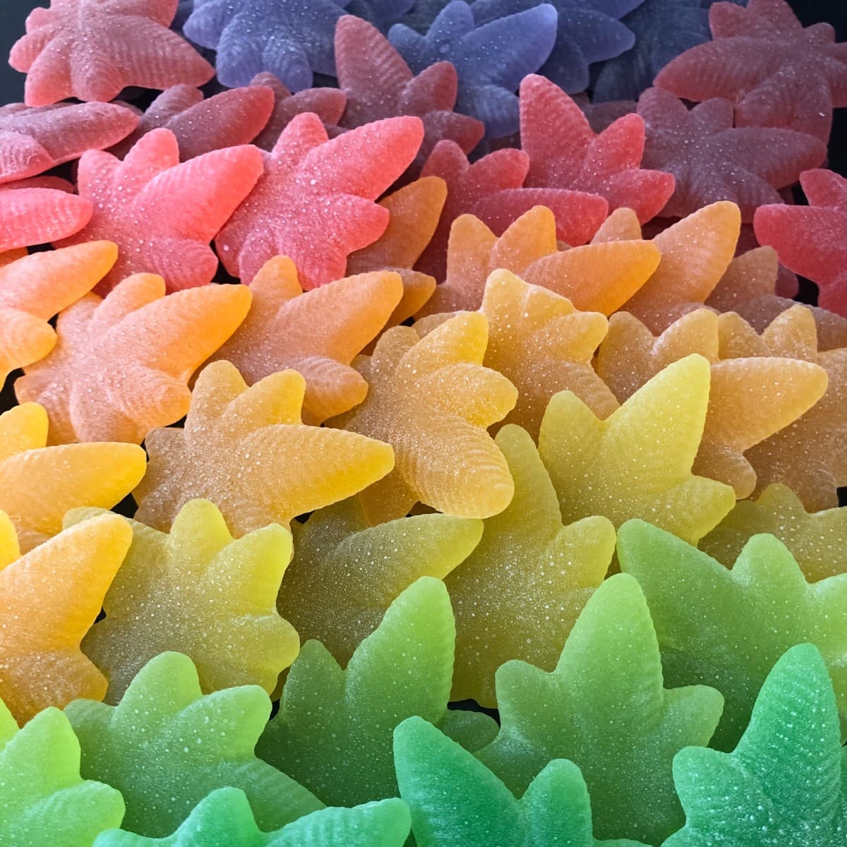 MoMo's Bakery Baja Blaze Boingos [10pk, 100mg]