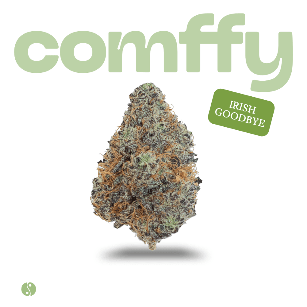 Comffy comffy - Irish Goodbye (H) Flower  C0140000279