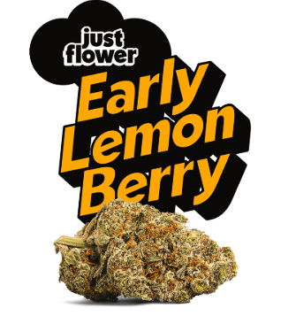 Just Flower