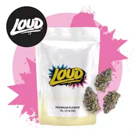 LOUD LOUD 3.5g Flower Strain: Hypnotik