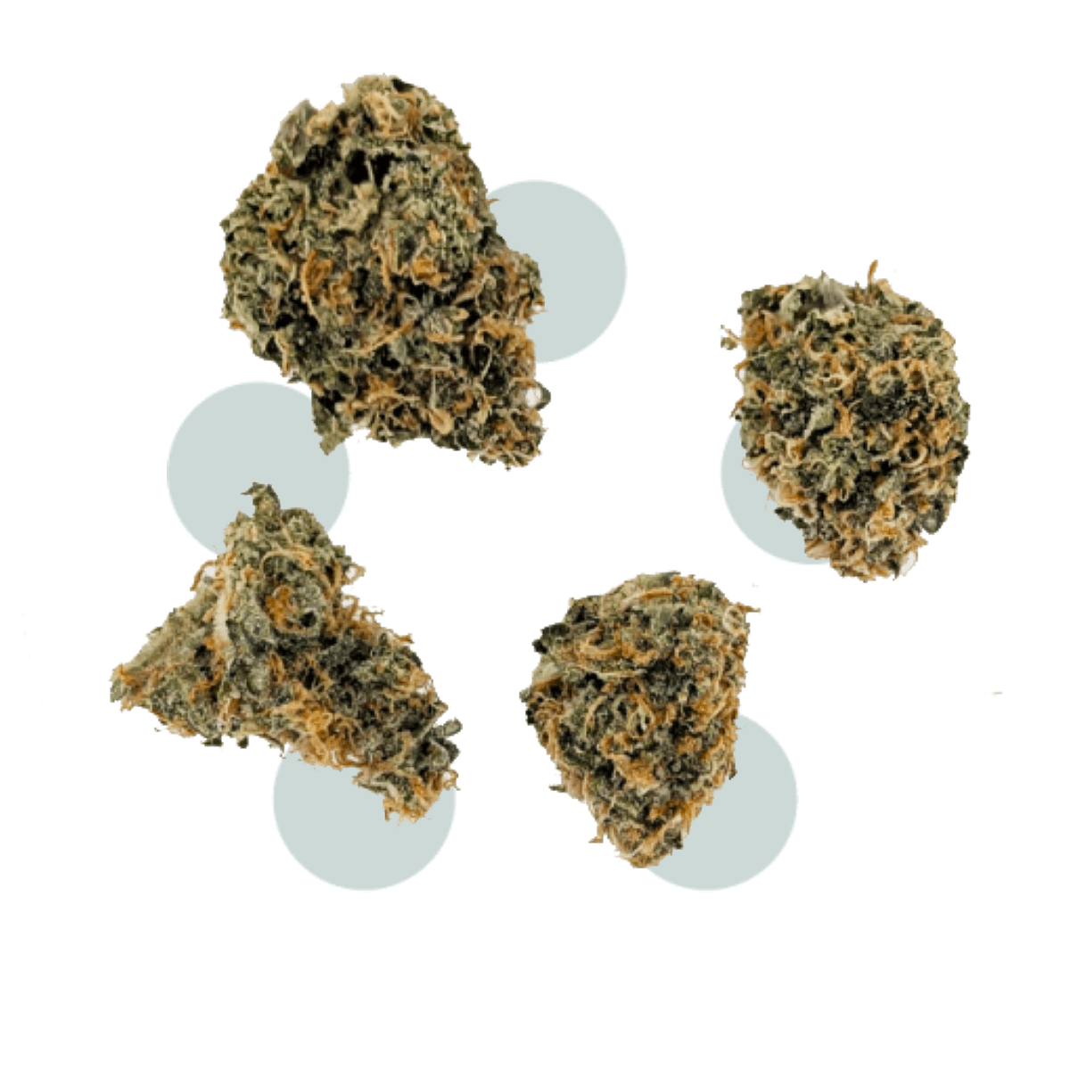 Rhize Cannabis Maui Pineapple