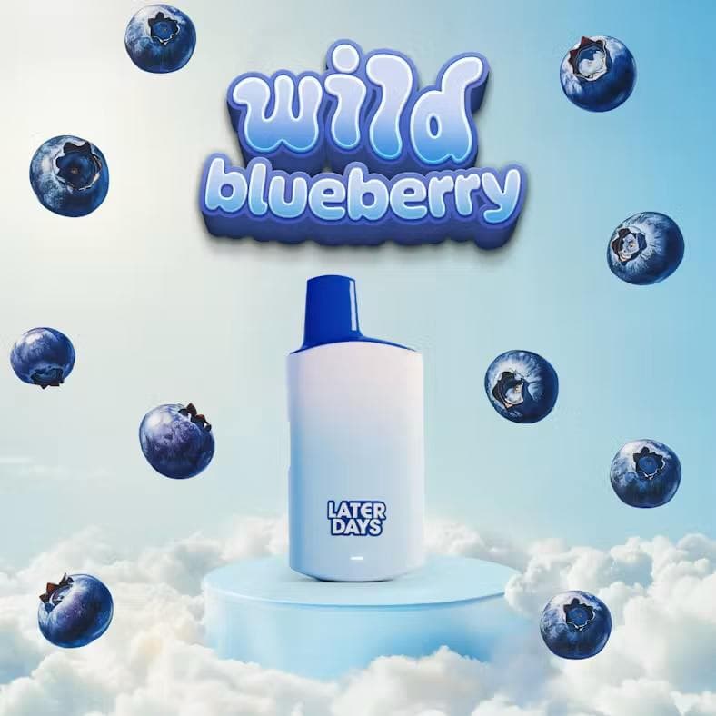 Later Days Later Days | Wild Blueberry | Disposable | 2g