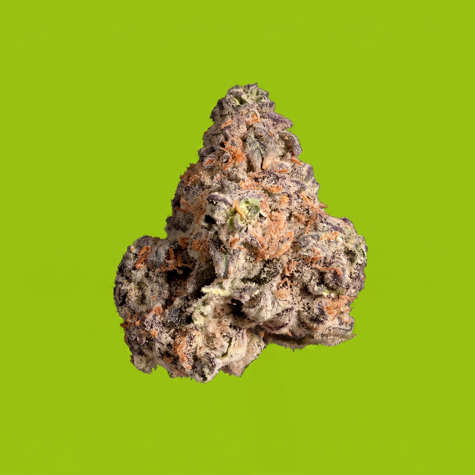 NoBo Cannabis Headwreck