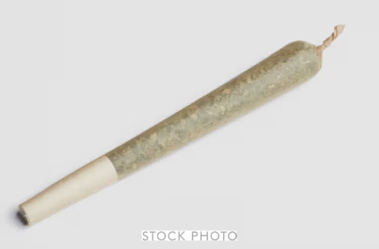 Summit Purple Garlic - 1G Joint