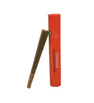 TOASTED Toasted - Black Uva Flower Preroll - 1g