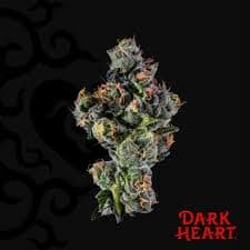 Dark Heart Foreign Kush Mints Flower [14g]