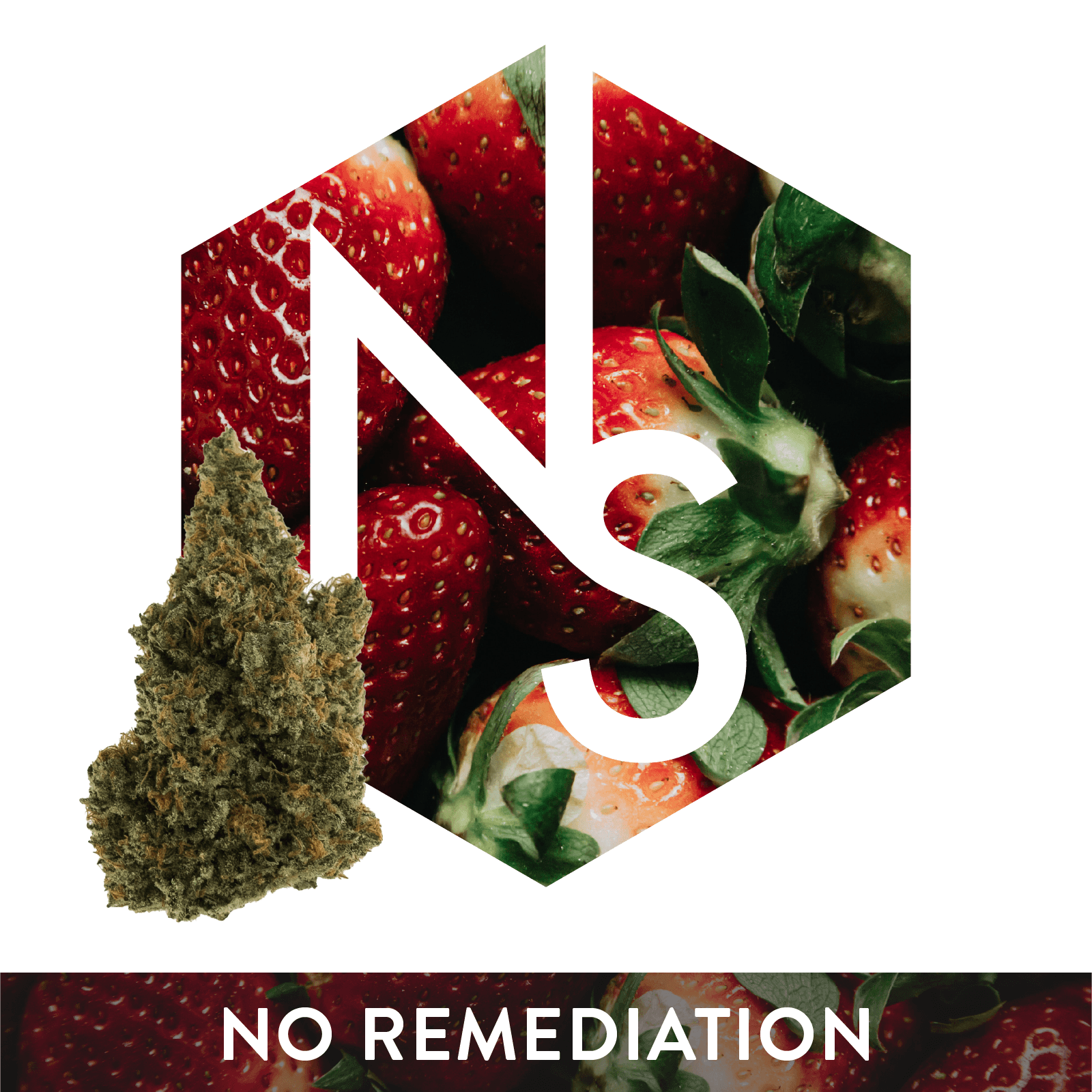 Natural Selections Strawberry Chocolate | 3.5g