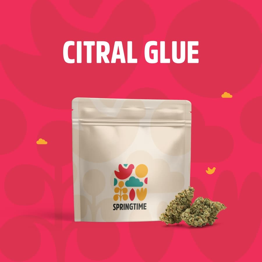 Springtime Bud | Citral Glue