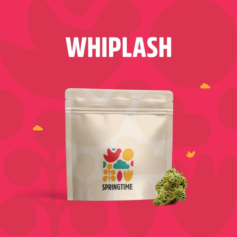 Springtime Bud | Whiplash