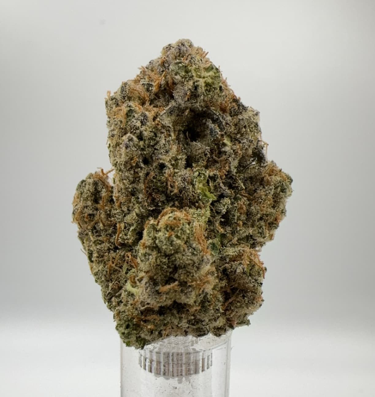 Deli Flower Zasso | Otoro