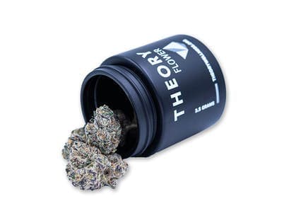 THEORYb MAC Stomper