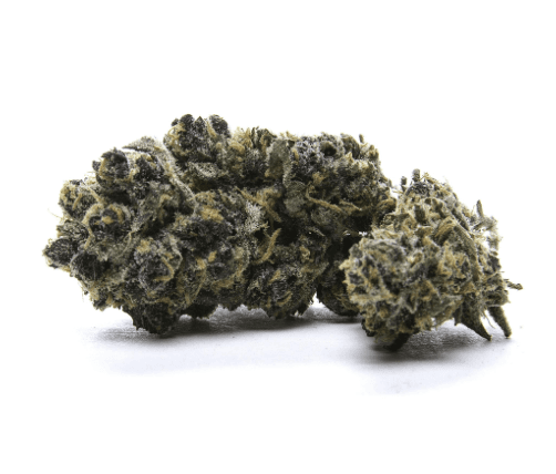 Verano Melonade 3.5g - Verano Reserve (Pre-Pack)