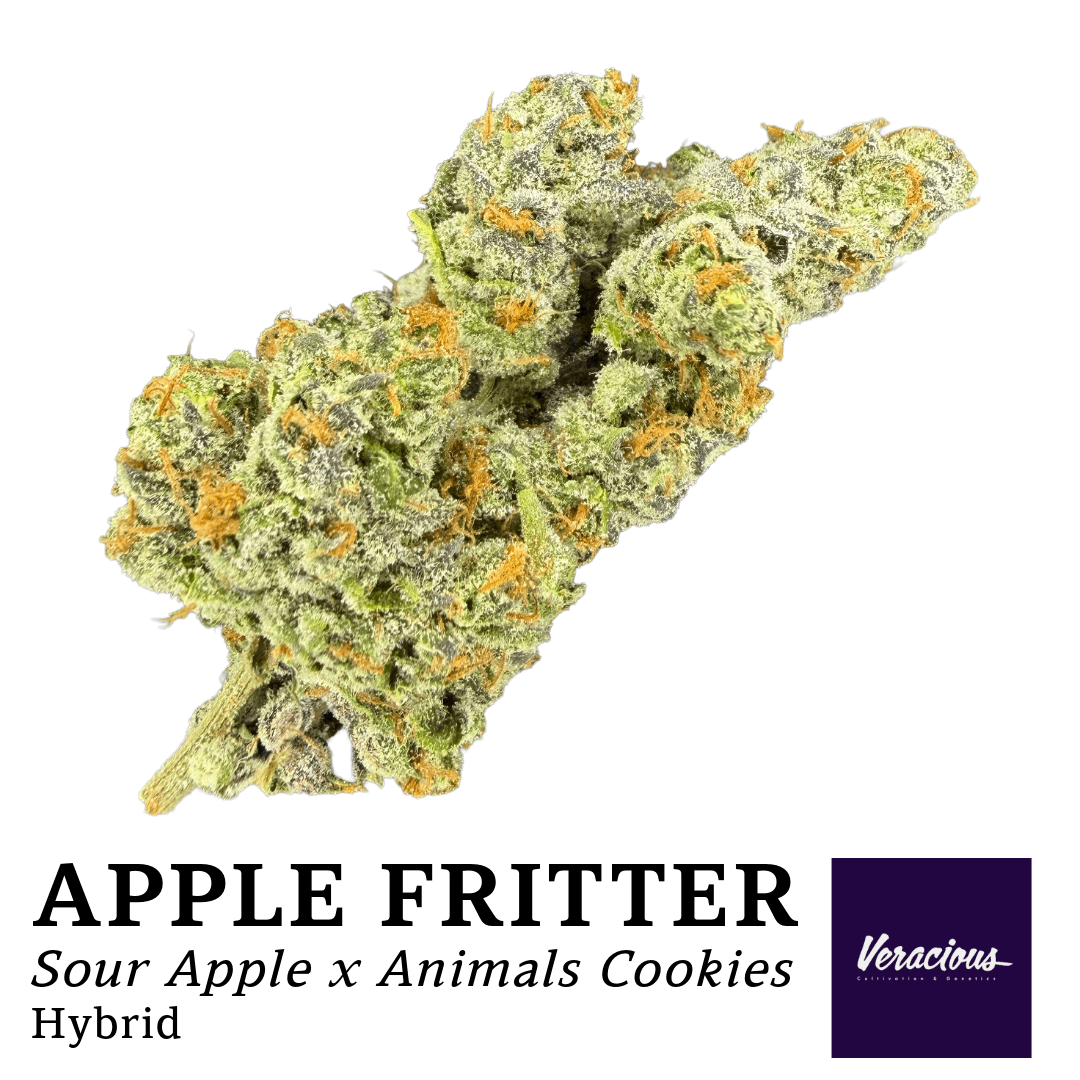 Veracious Apple Fritter | 1g Pre-Roll