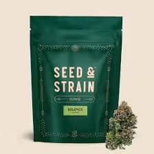 Seed & Strain Beaver Cookies