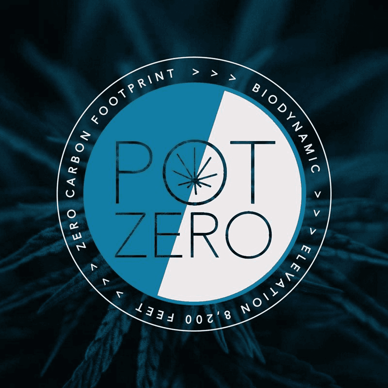 Pot Zero Pot Zero | Flower - Reba