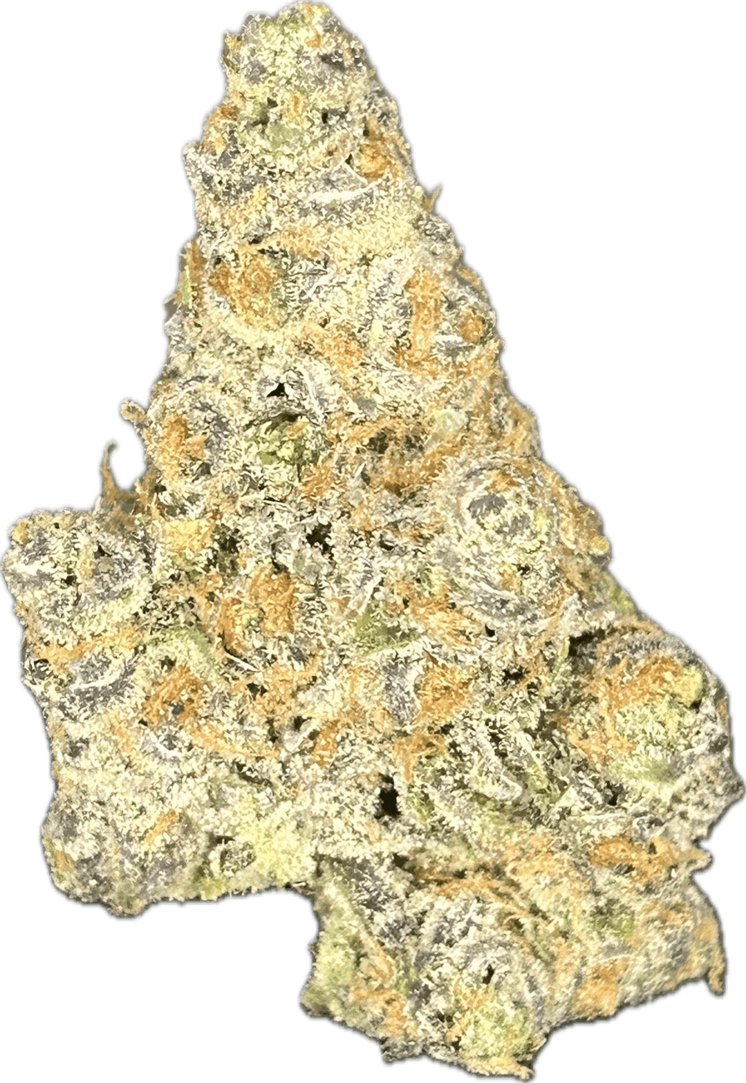 Dakota Green DAKOTA GELATO