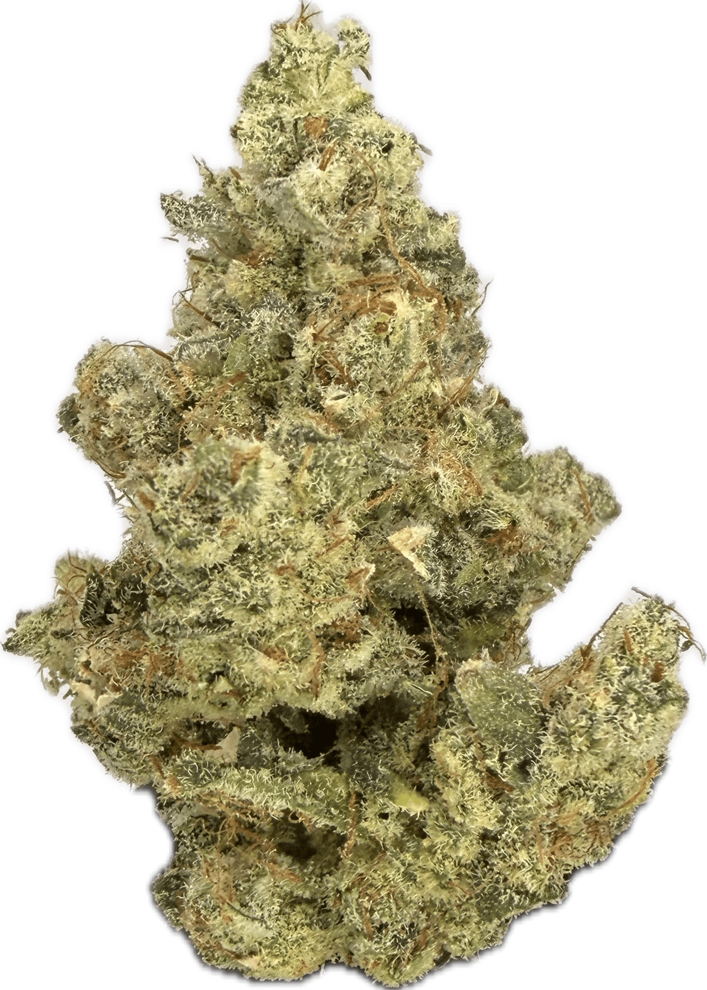 DNG - SOUR DREAMS - Bulk Flower