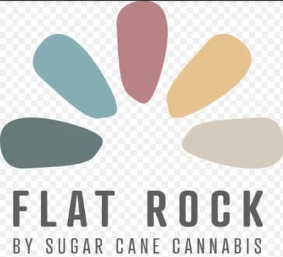 Flat Rock Strawberry Guava x 1
