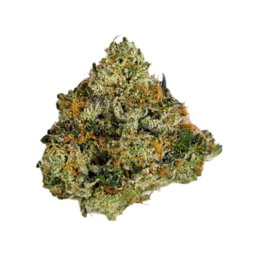 Pistol and Paris 7g Pre 98 Bubba